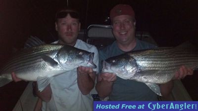 stripers at night