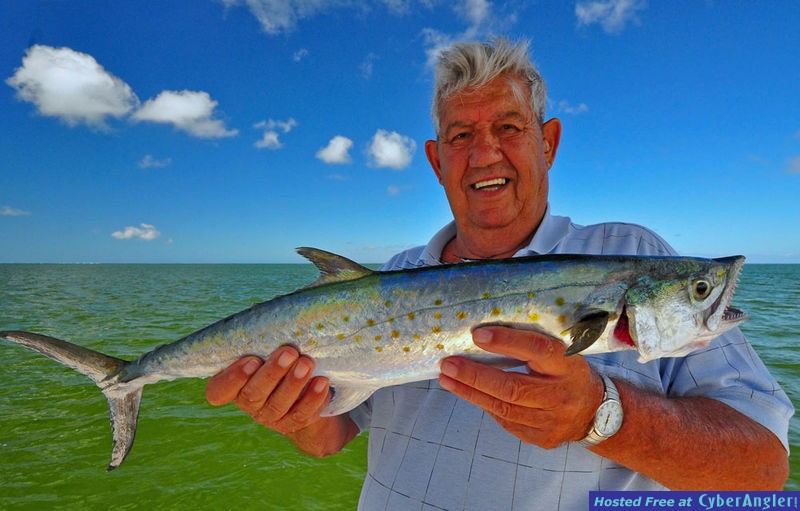 Spanish Mackerel