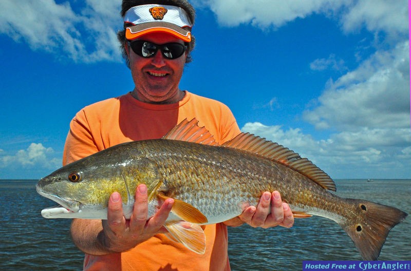 29 inch Redfish