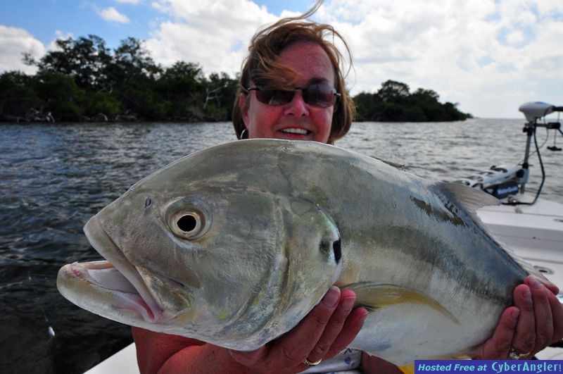 Jack Crevalle