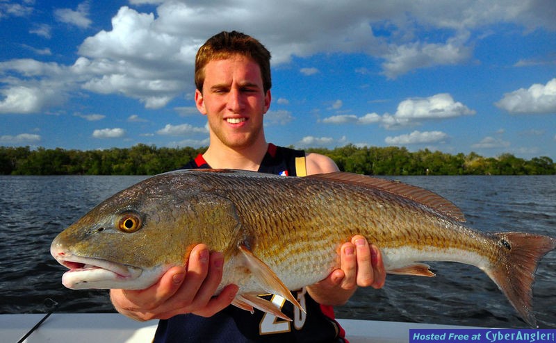 28 inch Redfish