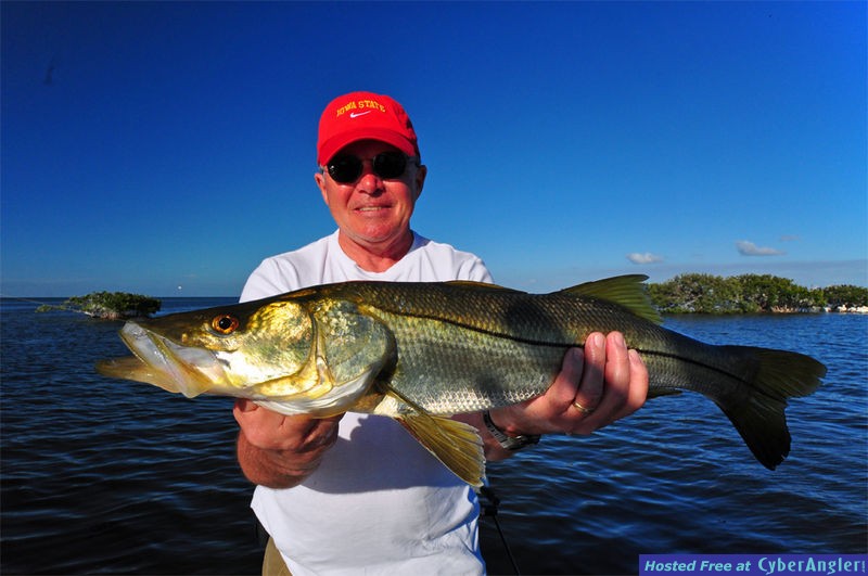 Snook