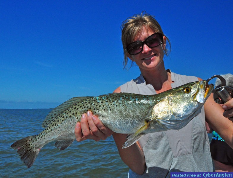 Sea Trout