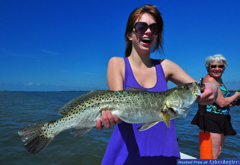 Sea Trout