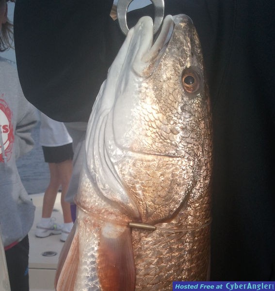 Destin Bay Fishing