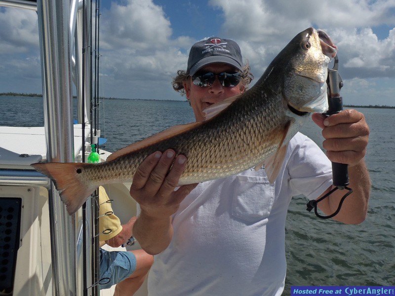 Captiva_Redfish