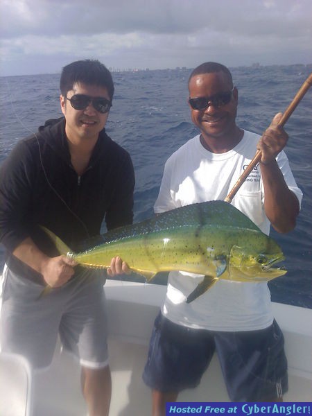 mahi mahi