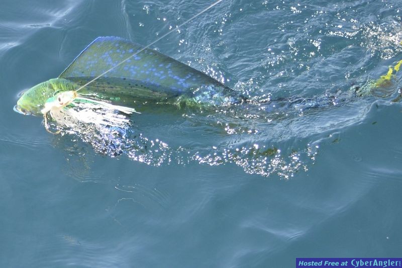 Click to Enlarge Photo