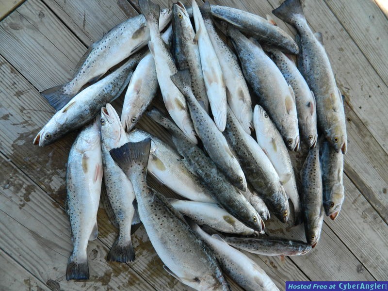 Capt. Matt's Lonely Day of Fishing