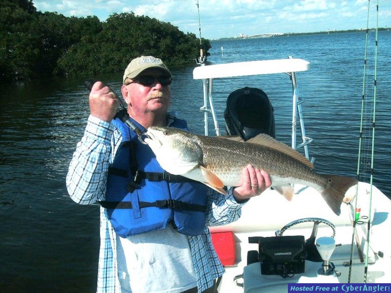 Red Fish