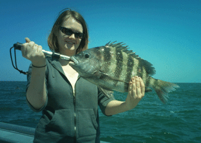 Jacksonville fishing