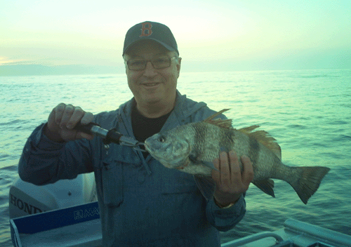 Jacksonville fishing