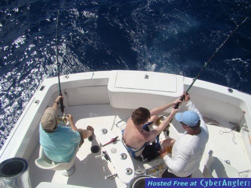 Click to Enlarge Photo