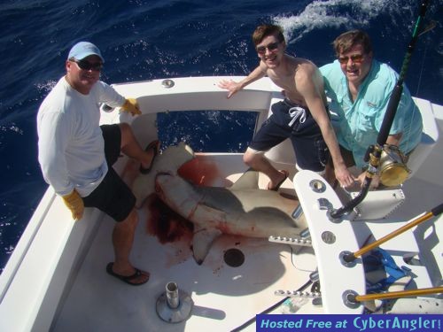 Click to Enlarge Photo