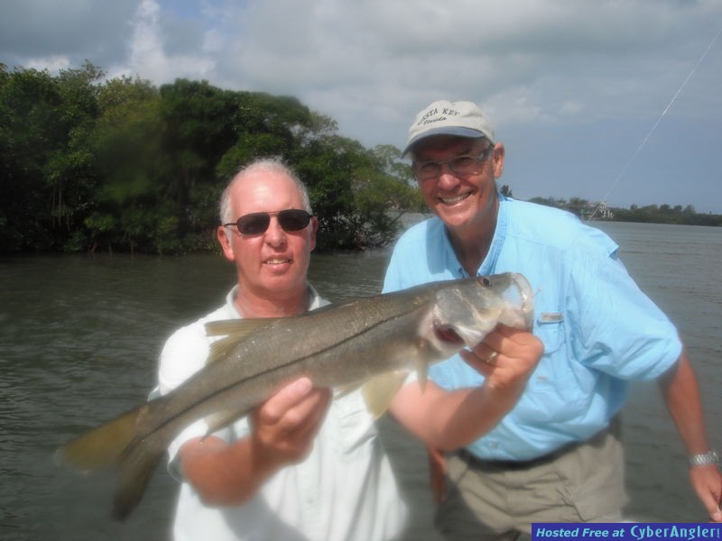 snook on Siesta