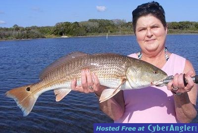 Click to Enlarge Photo