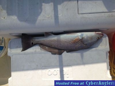 Click to Enlarge Photo