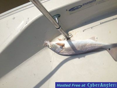 Click to Enlarge Photo