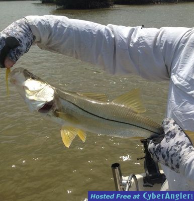 Click to Enlarge Photo