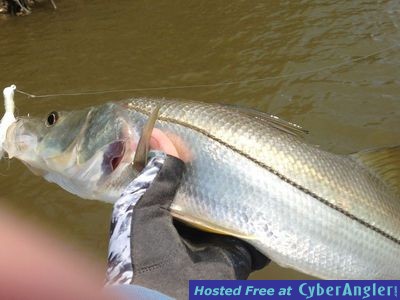 Click to Enlarge Photo