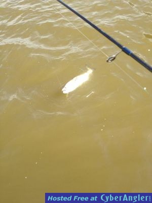 Click to Enlarge Photo