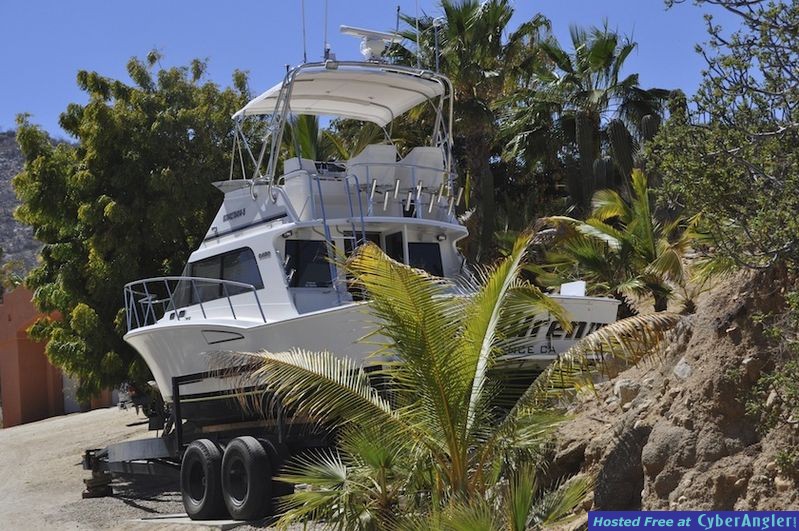 Click to Enlarge Photo