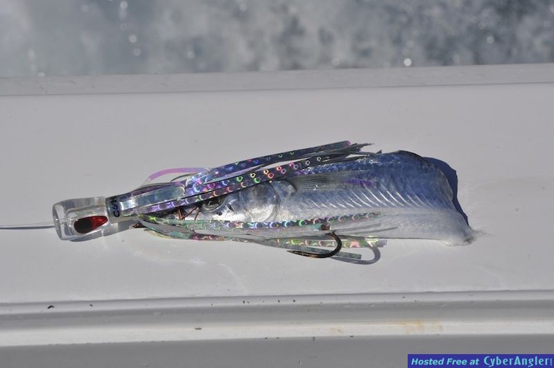 Click to Enlarge Photo