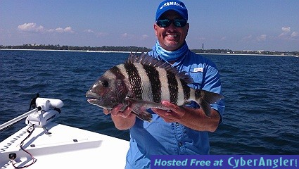 Pensacola Pass Sheepshead