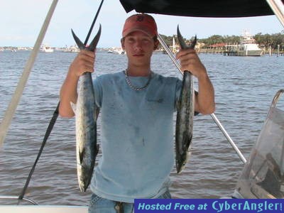 My Spanish Mackerel