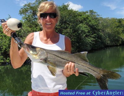 Click to Enlarge Photo