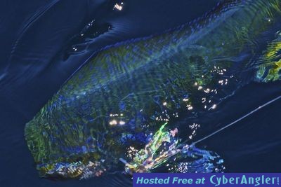 Click to Enlarge Photo