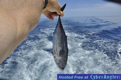 Click to Enlarge Photo