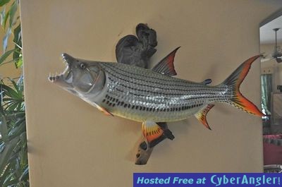 Click to Enlarge Photo