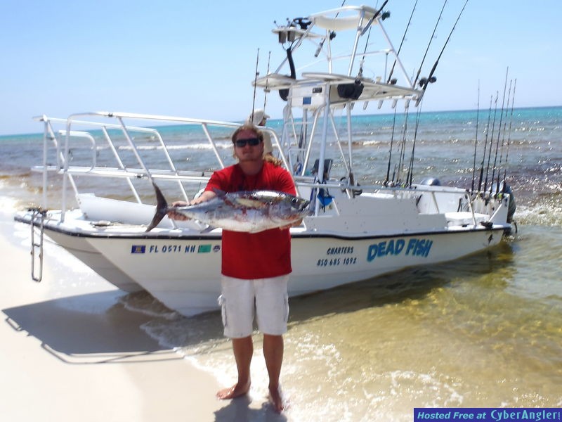Tuna off the beach
