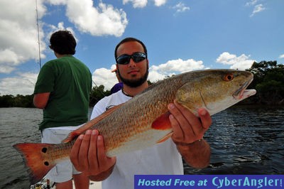 26inch Pine Island Redfish