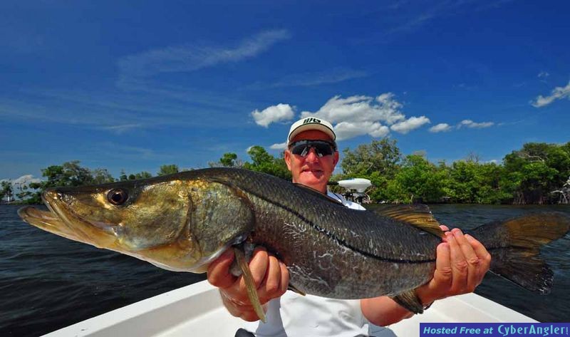 37inch Matlacha Pass Snook