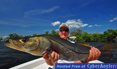 37inch Matlacha Pass Snook