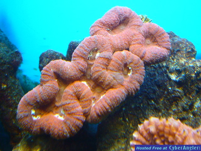 P1000066