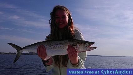 Monster Spanish Mackerel