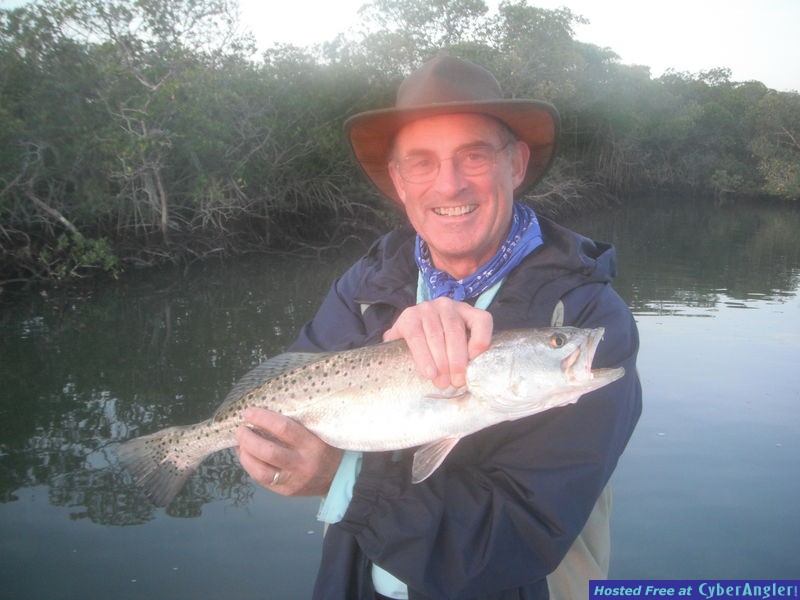Big Sarasota trout