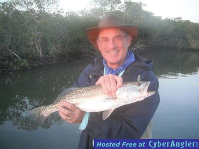 Big Sarasota trout