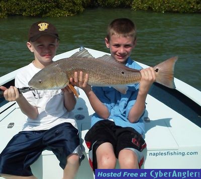 Click to Enlarge Photo