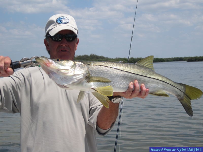 inshore gamefish