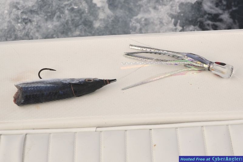 Click to Enlarge Photo