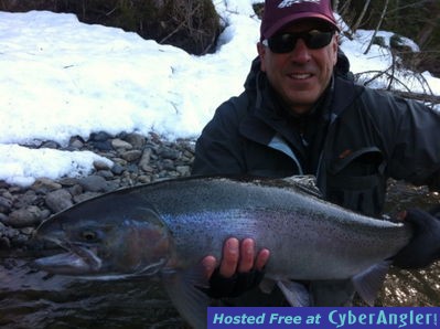 Spring Steelhead  http://www.noelgyger.ca