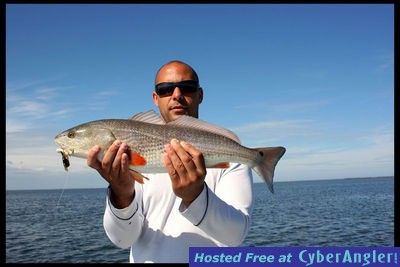 Click to Enlarge Photo