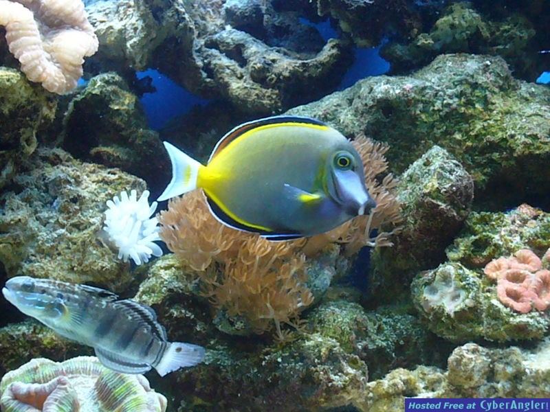 P1000129
