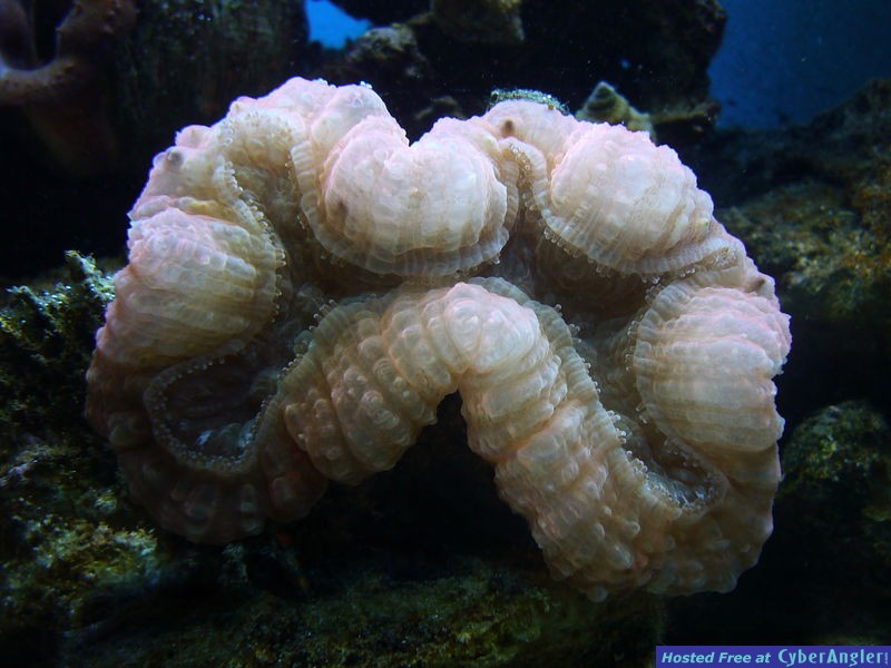 P1000148