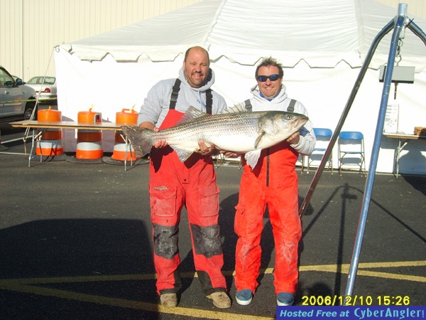 45.65 lb Striped Bass