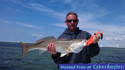 30&quot; Redfish